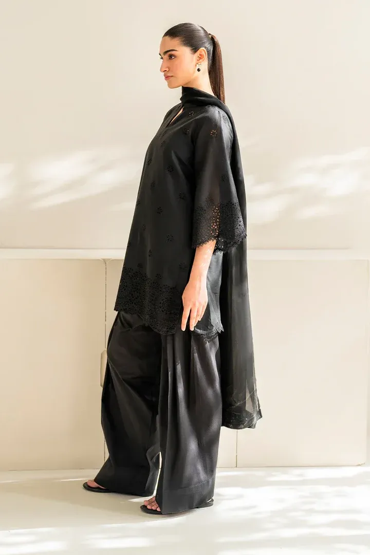 Dhanak 3PC Embroidered With Chiffon Dupatta-152 - Image 3